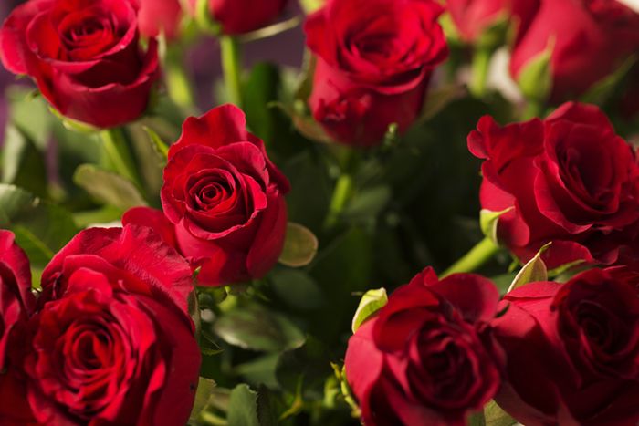 Just den här kvällen är det tema jord och vi får njuta av friska röda rosor i rummet.